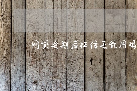 网贷逾期后征信还能用吗 网贷逾期后征信还能用吗