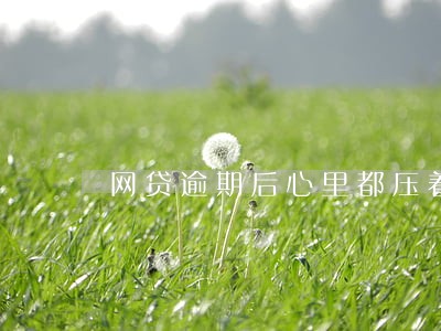 网贷逾期后心里都压着一块石头 网贷逾期后心里都压着一块石头