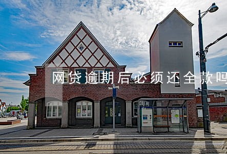 网贷逾期后必须还全款吗 网贷逾期后必须还全款吗
