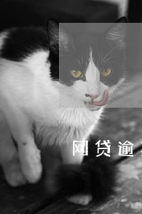 网贷逾期后怎么换号码
