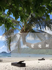 网贷逾期后怎么控制老赖 网贷逾期后怎么控制老赖