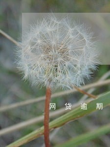 网贷逾期后怎么提前准备 网贷逾期后怎么提前准备