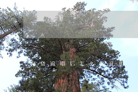 网贷逾期后怎么收证明 网贷逾期后怎么收证明