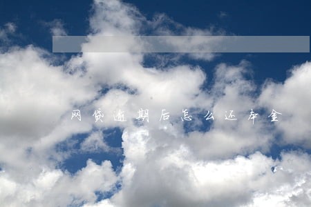 网贷逾期后怎么还本金 网贷逾期后怎么还本金