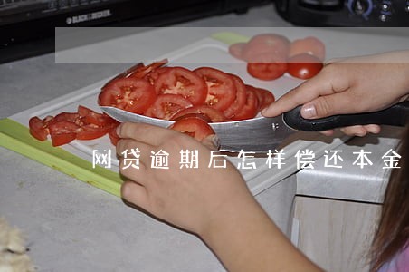 网贷逾期后怎样偿还本金 网贷逾期后怎样偿还本金