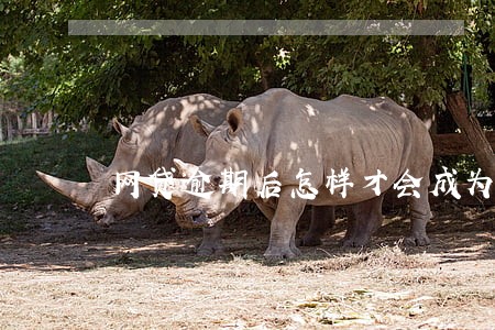网贷逾期后怎样才会成为烂的 网贷逾期后怎样才会成为烂的