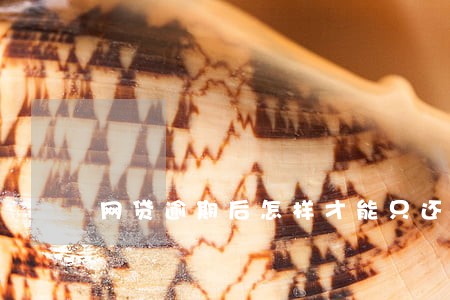 网贷逾期后怎样才能只还本金 网贷逾期后怎样才能只还本金