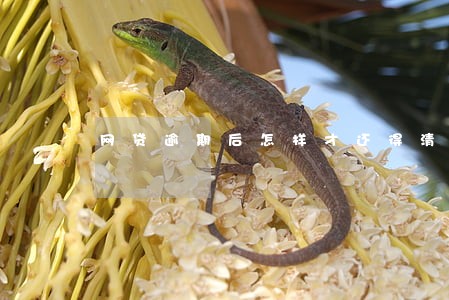 网贷逾期后怎样才还得清 网贷逾期后怎样才还得清