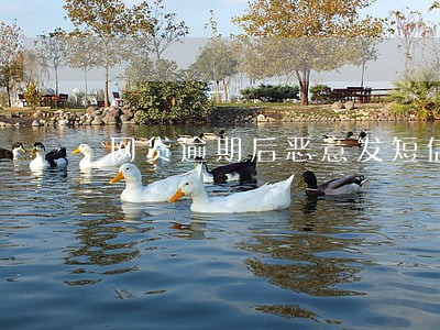 网贷逾期后恶意发短信 网贷逾期后恶意发短信