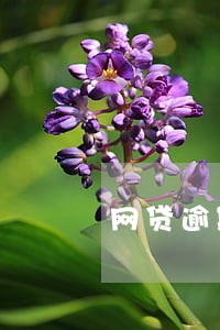 网贷逾期后悔吗 网贷逾期后悔吗