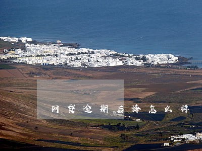 网贷逾期后悔怎么样 网贷逾期后悔怎么样