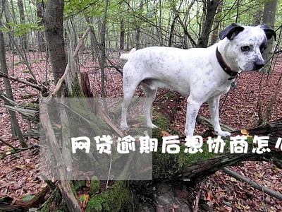 网贷逾期后想协商怎么办 网贷逾期后想协商怎么办