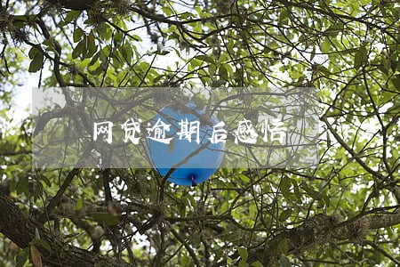 网贷逾期后感悟 网贷逾期后感悟