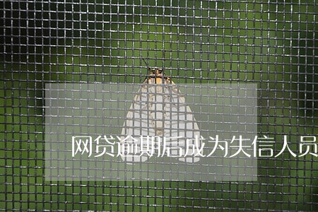 网贷逾期后成为失信人员 网贷逾期后成为失信人员