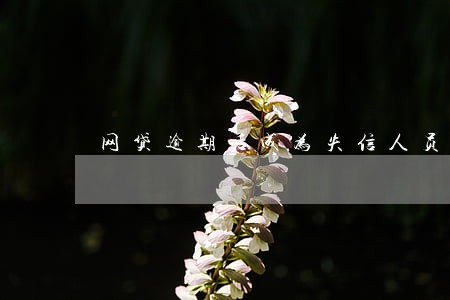 网贷逾期后成为失信人员名单 网贷逾期后成为失信人员名单