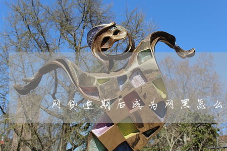 网贷逾期后成为网黑怎么办 网贷逾期后成为网黑怎么办