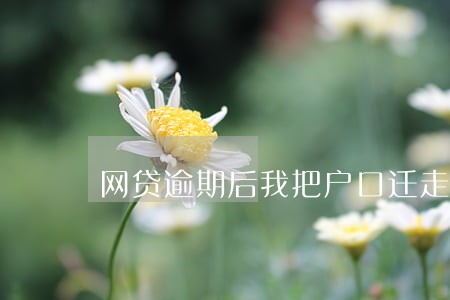网贷逾期后我把户口迁走了 网贷逾期后我把户口迁走了