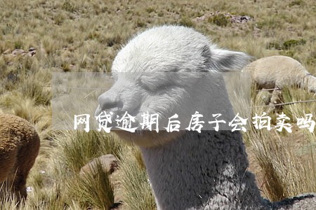 网贷逾期后房子会拍卖吗 网贷逾期后房子会拍卖吗