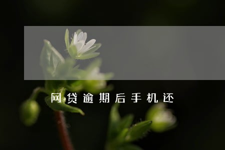 网贷逾期后手机还 网贷逾期后手机还