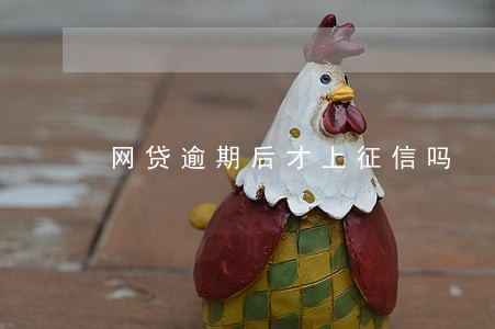 网贷逾期后才上征信吗