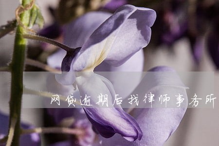 网贷逾期后找律师事务所帮忙处理 网贷逾期后找律师事务所帮忙处理