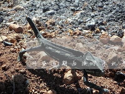 网贷逾期后换了手机号 网贷逾期后换了手机号