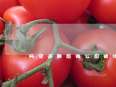网贷逾期后换公司被找到 网贷逾期后换公司被找到