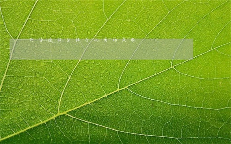 网贷逾期后换手机号码失联 网贷逾期后换手机号码失联