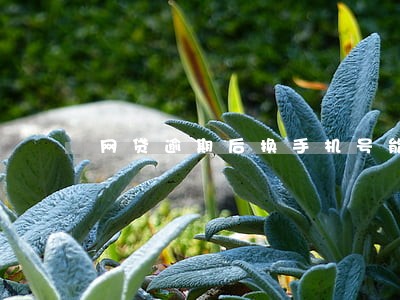 网贷逾期后换手机号能查到吗 网贷逾期后换手机号能查到吗