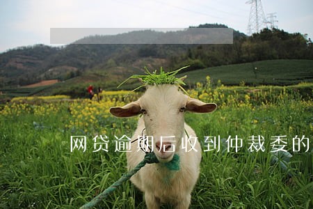 网贷逾期后收到仲裁委的短信 网贷逾期后收到仲裁委的短信