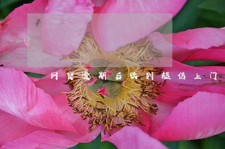 网贷逾期后收到短信上门了 网贷逾期后收到短信上门了