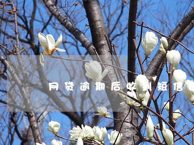 网贷逾期后收到短信进行诉讼 网贷逾期后收到短信进行诉讼