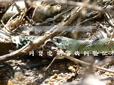 网贷逾期后收到验证码 网贷逾期后收到验证码