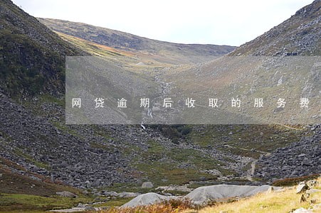网贷逾期后收取的服务费用合法吗