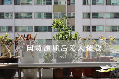 网贷逾期后无人催款 网贷逾期后无人催款