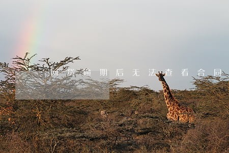 网贷逾期后无法查看合同 网贷逾期后无法查看合同