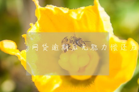 网贷逾期后无能力偿还应该怎么办 网贷逾期后无能力偿还应该怎么办