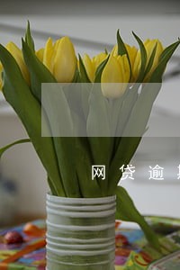网贷逾期后日利率万十合法吗 网贷逾期后日利率万十合法吗