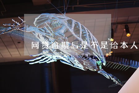 网贷逾期后是不是给本人打电话 网贷逾期后是不是给本人打电话