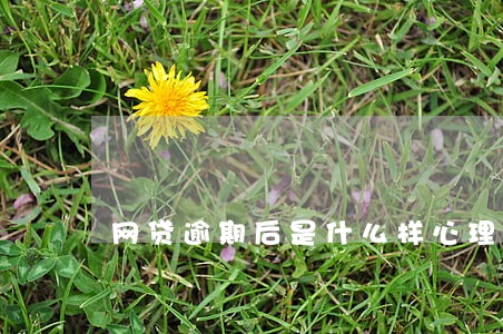 网贷逾期后是什么样心理 网贷逾期后是什么样心理