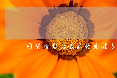网贷逾期后最好的处理办法 网贷逾期后最好的处理办法