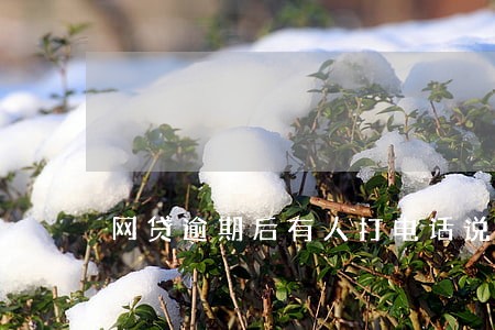 网贷逾期后有人打电话说要上门 网贷逾期后有人打电话说要上门