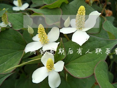 网贷逾期后有人联系要上门 网贷逾期后有人联系要上门