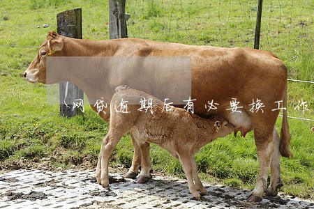 网贷逾期后有必要换工作吗 网贷逾期后有必要换工作吗