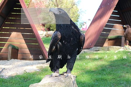 网贷逾期后有短信说要核算划扣 网贷逾期后有短信说要核算划扣
