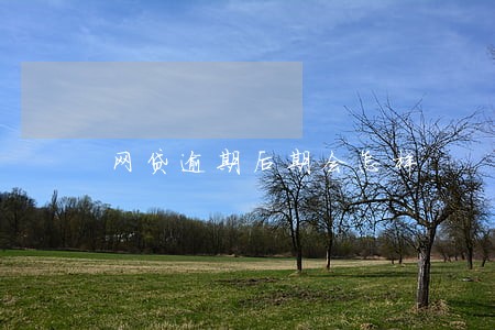 网贷逾期后期会怎样 网贷逾期后期会怎样