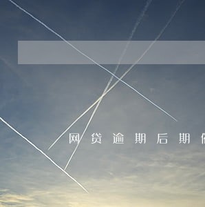 网贷逾期后期催收话术 网贷逾期后期催收话术