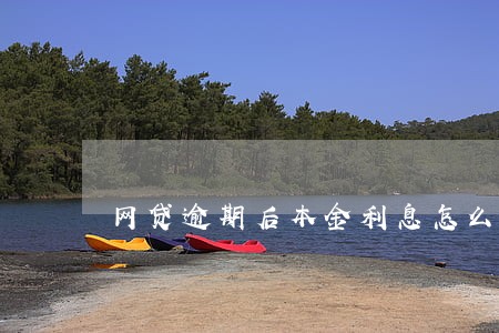 网贷逾期后本金利息怎么协商 网贷逾期后本金利息怎么协商