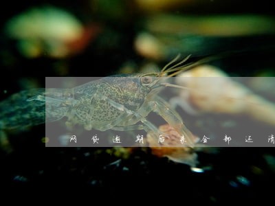 网贷逾期后来全部还清三年了 网贷逾期后来全部还清三年了