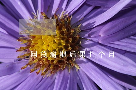 网贷逾期后果1个月 网贷逾期后果1个月